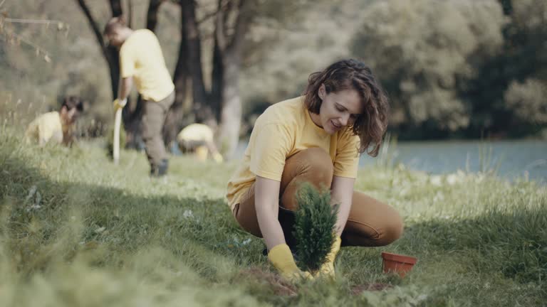 Best Lawn Watering Services  in Big Stone Gap, VA